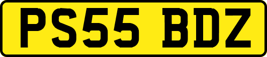 PS55BDZ