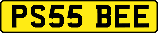 PS55BEE