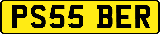 PS55BER