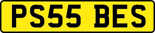 PS55BES