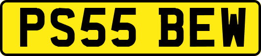 PS55BEW