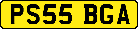 PS55BGA