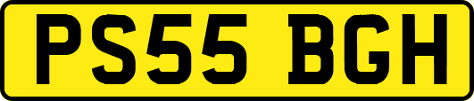 PS55BGH