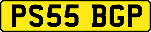 PS55BGP
