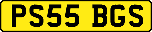 PS55BGS