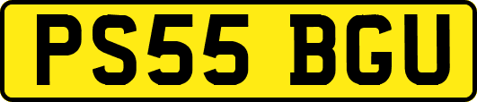 PS55BGU