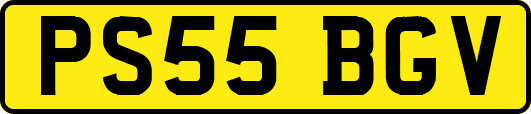 PS55BGV
