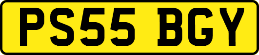 PS55BGY