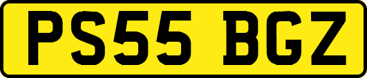 PS55BGZ
