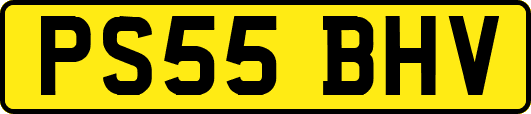 PS55BHV