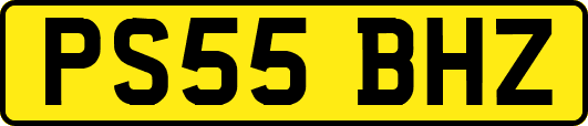 PS55BHZ