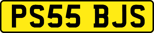PS55BJS