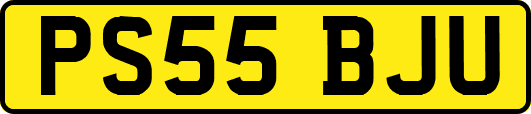 PS55BJU