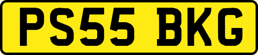 PS55BKG