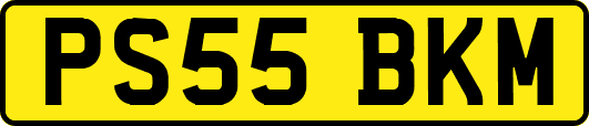 PS55BKM