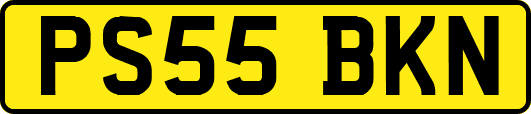 PS55BKN
