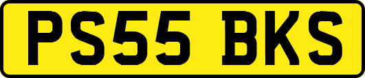 PS55BKS