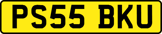 PS55BKU