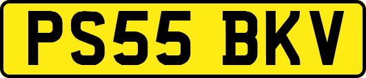 PS55BKV