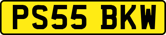 PS55BKW