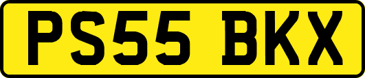 PS55BKX