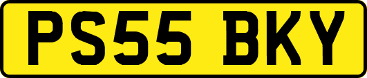 PS55BKY