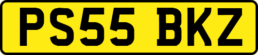 PS55BKZ