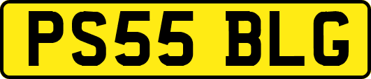 PS55BLG