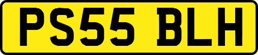 PS55BLH