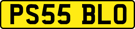 PS55BLO