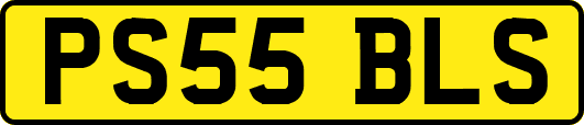 PS55BLS
