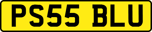 PS55BLU