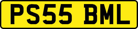 PS55BML