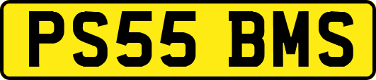 PS55BMS