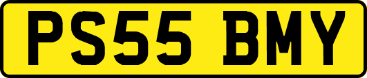 PS55BMY