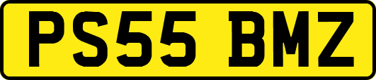 PS55BMZ