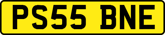PS55BNE