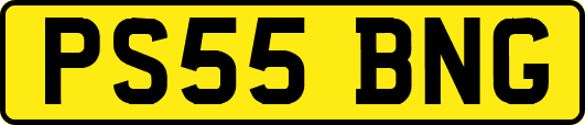 PS55BNG