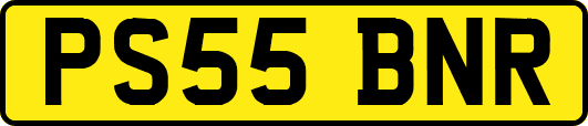 PS55BNR