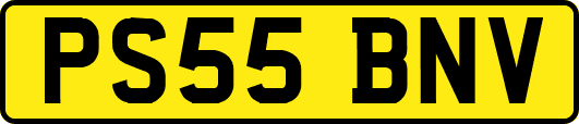 PS55BNV