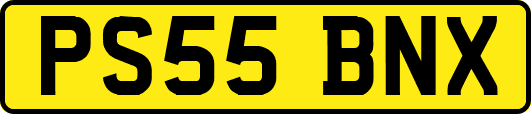 PS55BNX