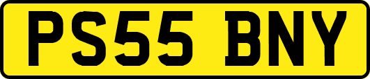 PS55BNY