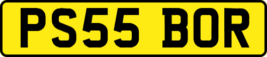 PS55BOR