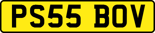 PS55BOV