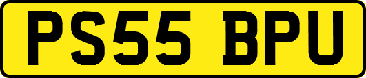 PS55BPU