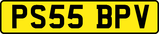 PS55BPV
