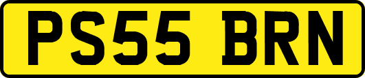 PS55BRN