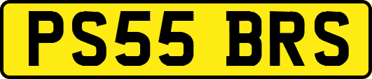PS55BRS