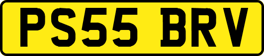 PS55BRV