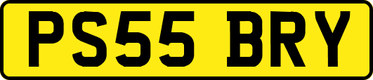 PS55BRY